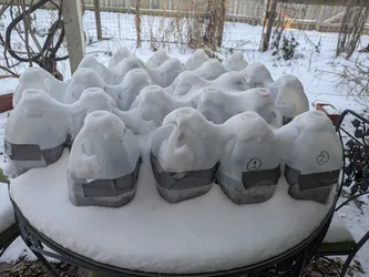 Mini greenhouses, covered with snow